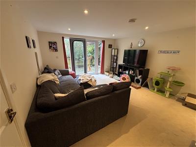 Picture 5